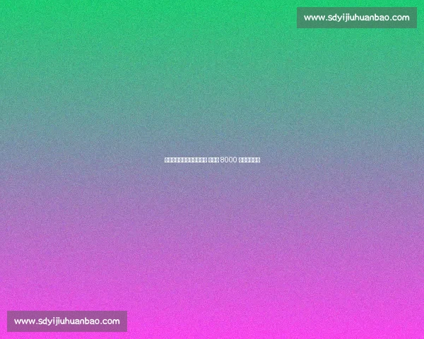 本菲卡球迷赴美观赛遭拒签 损失近 8000 元梦碎世俱杯