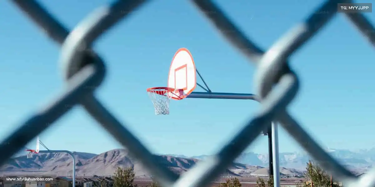 行业领先的理由